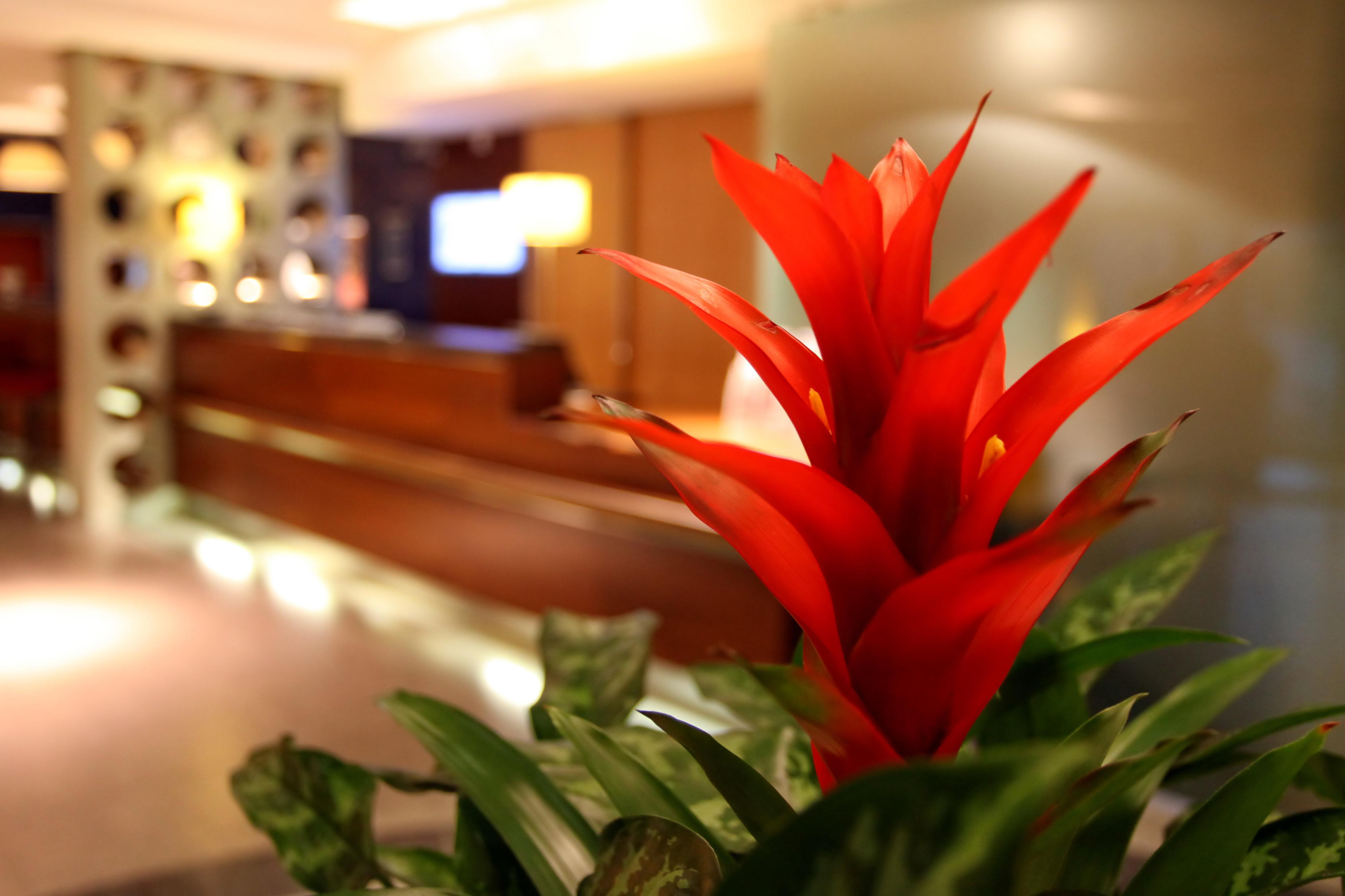 Express - M27, J7 By Ihg Southampton