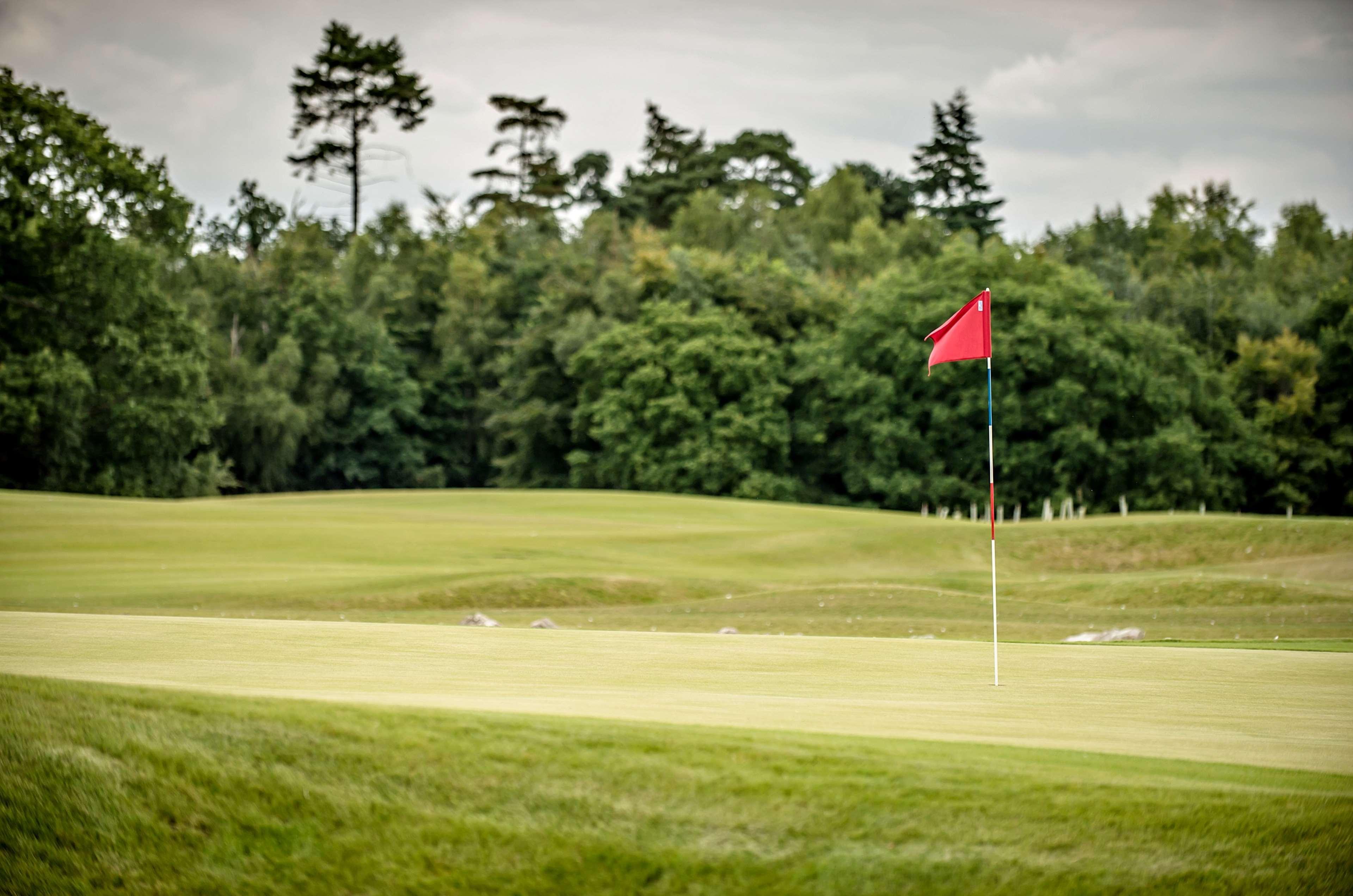 Hilton - Utilita Bowl 4* Southampton