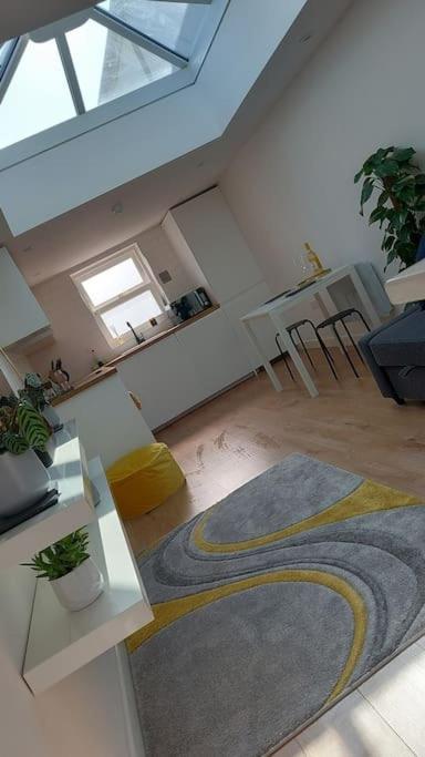 Apartment 1 Bedroom Modern Duplex