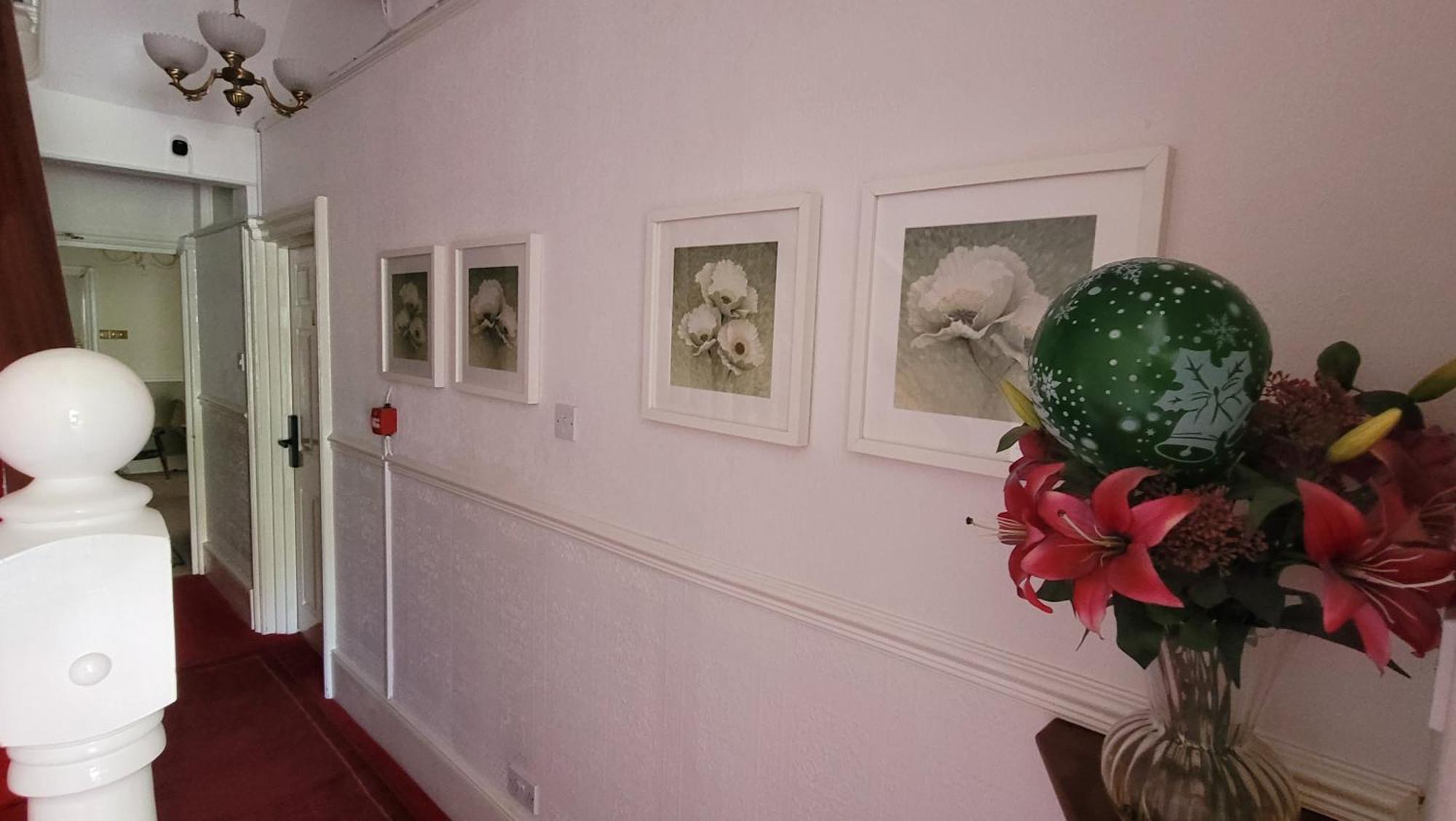 Guest house The Mayfair 4*