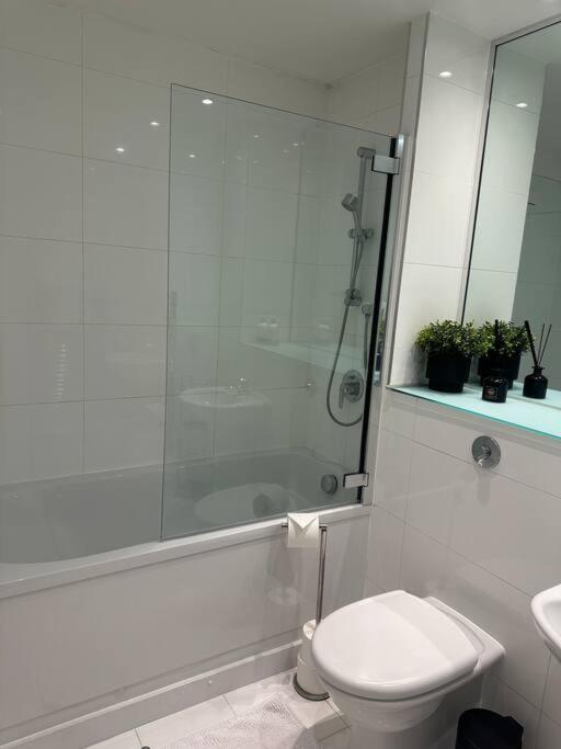 2 Bedrooms, 2 Bathrooms, Near Sea Apartment Southampton