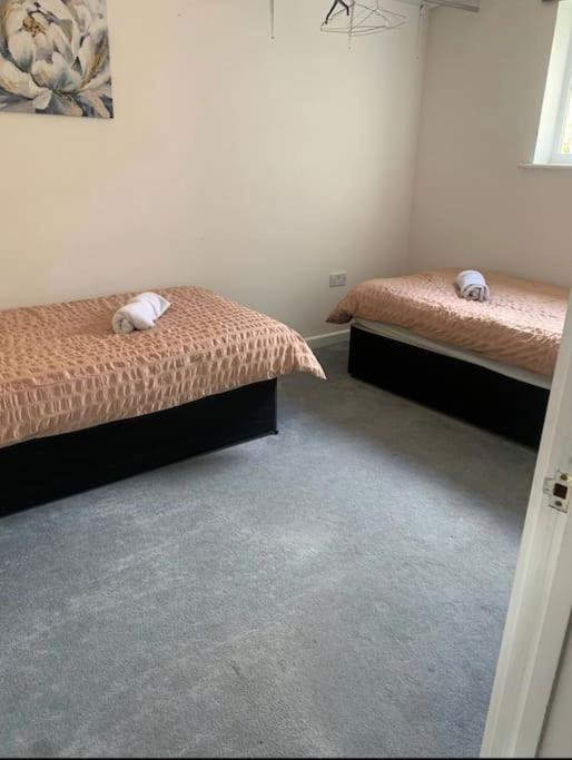 Pad * Southampton
