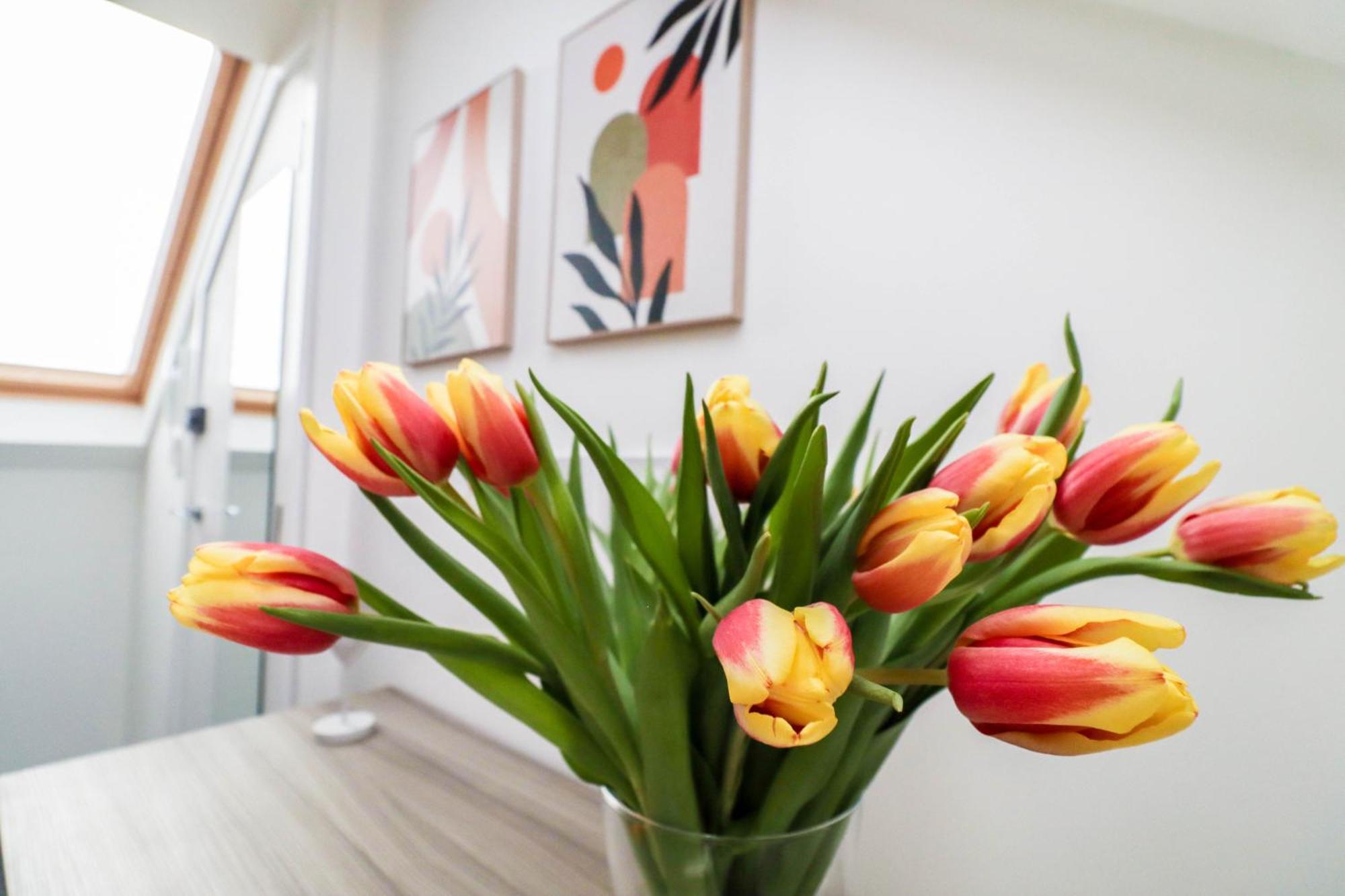 Centre Apartment