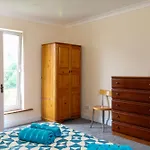 Darwin Road Guest House 5