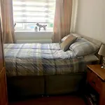 Forty Winks