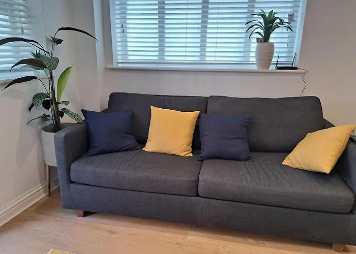 Modern City House