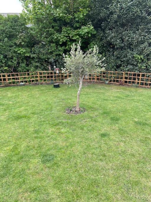Holiday home Elmside, The Luxury New Forest Retreat *