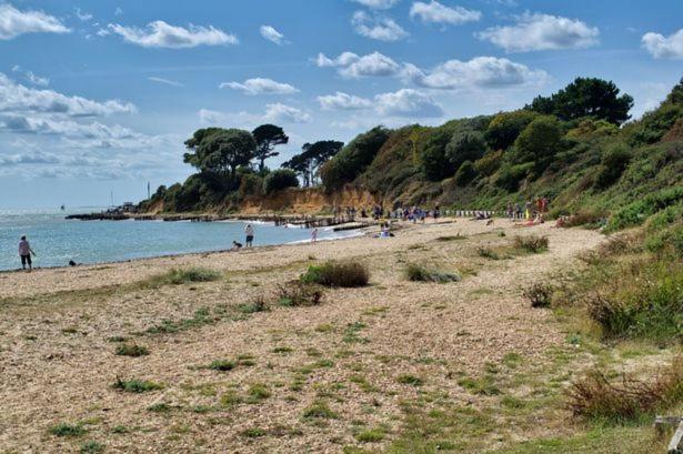 Elmside, The Luxury New Forest Retreat Holiday home *