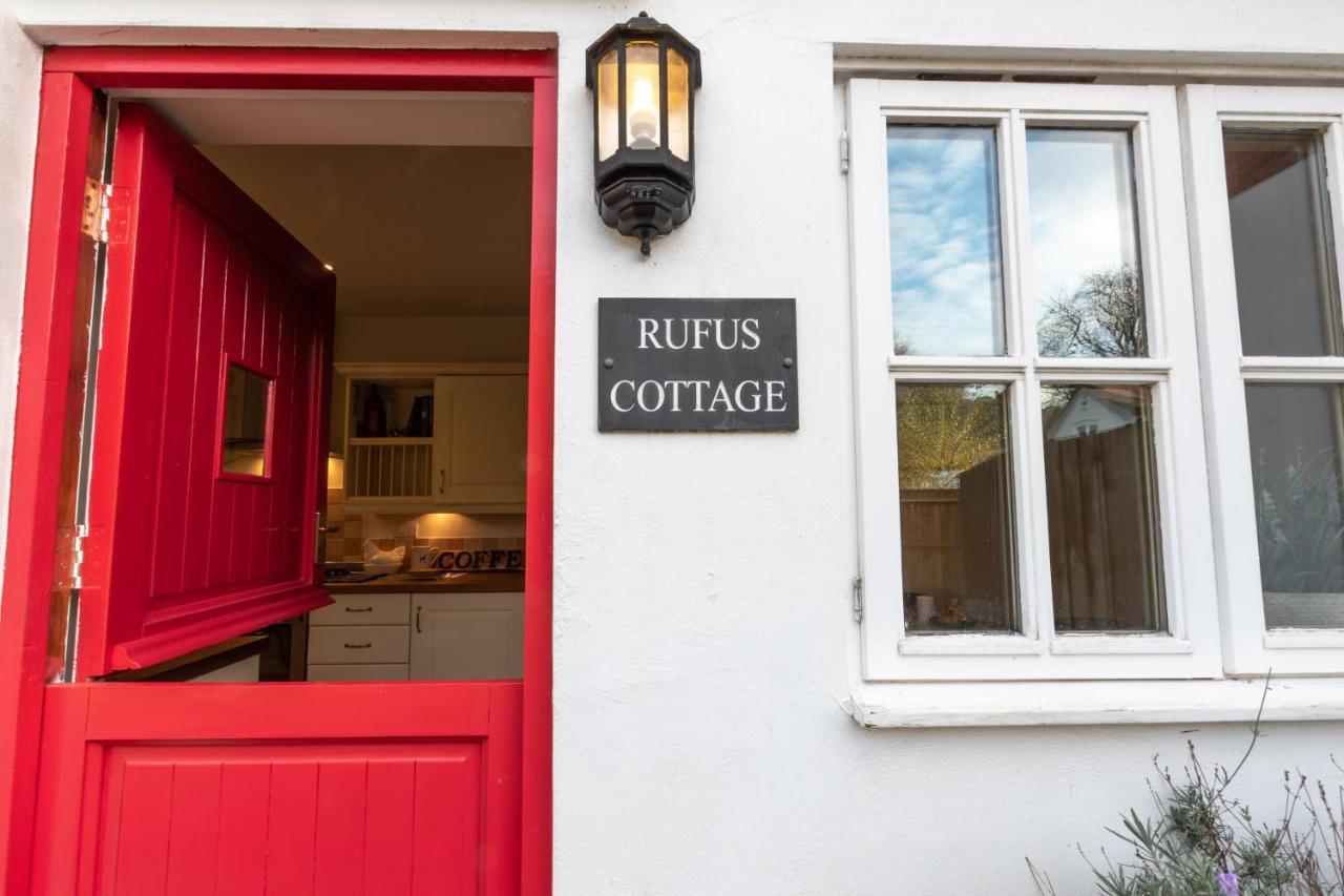Rufus - The Christmas Southampton