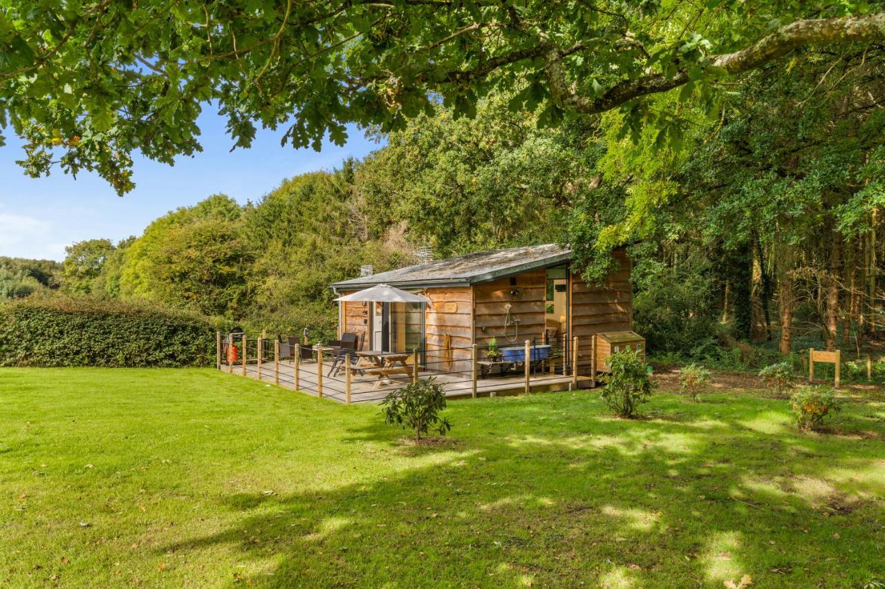 Ivy Holiday home Southampton