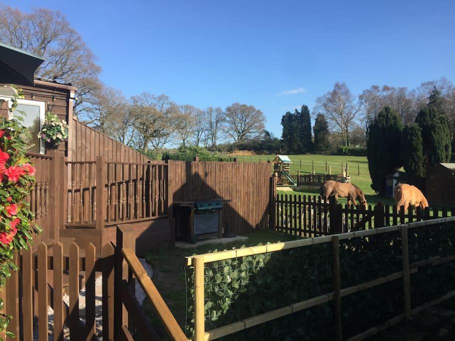 The Chalet In The New Forest - 5 Km From Peppa Pig! Apartment