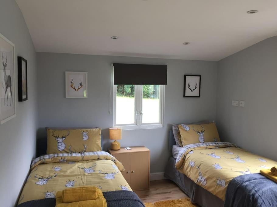 The Chalet In The New Forest - 5 Km From Peppa Pig! Apartment Southampton