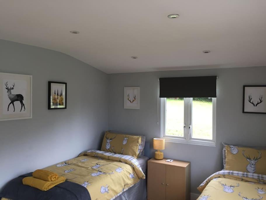 The Chalet In The New Forest - 5 Km From Peppa Pig! Southampton