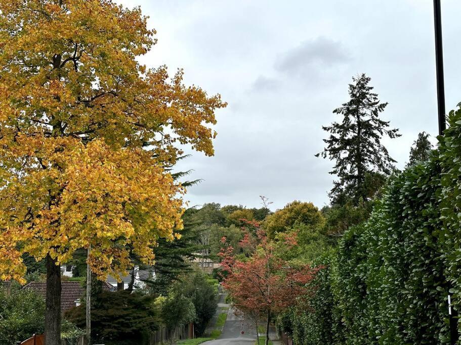 Lovely 2 Bed Flat, In A Leafy Area,all New Southampton