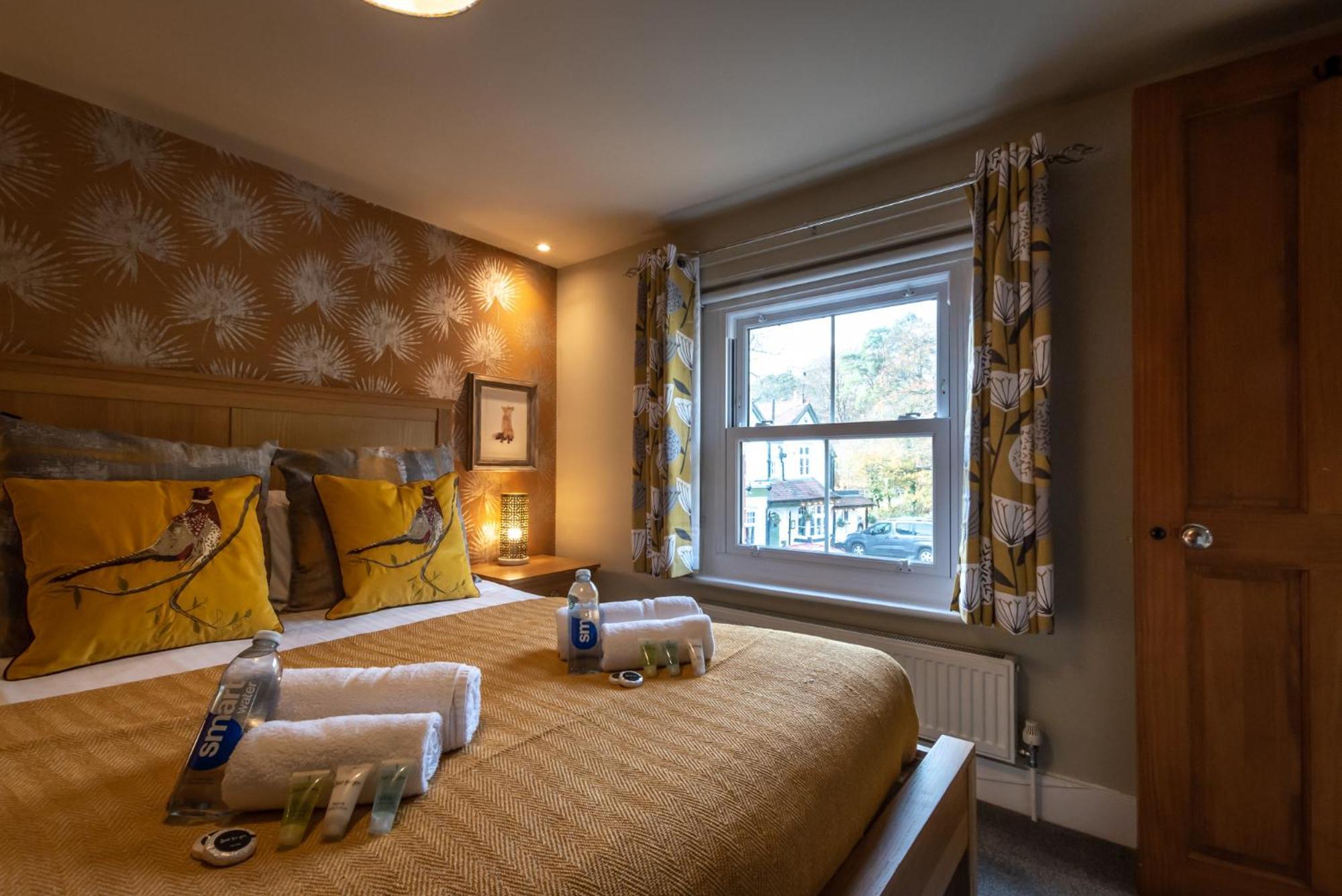 Rufus - The Christmas Holiday home Southampton