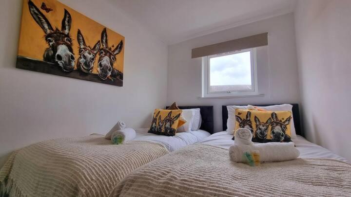 No 62 Fivedom - Charming & Cosy Southampton