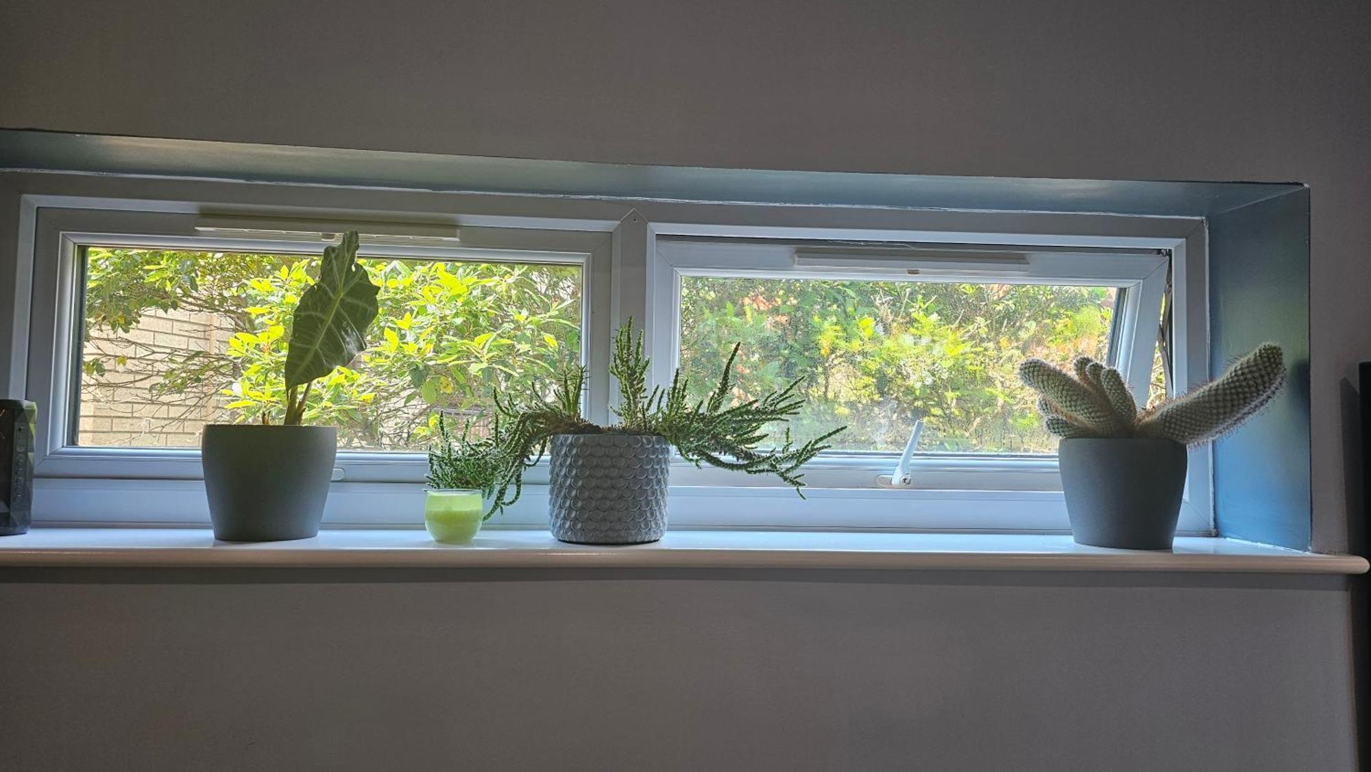 Cozy Retreat * Southampton