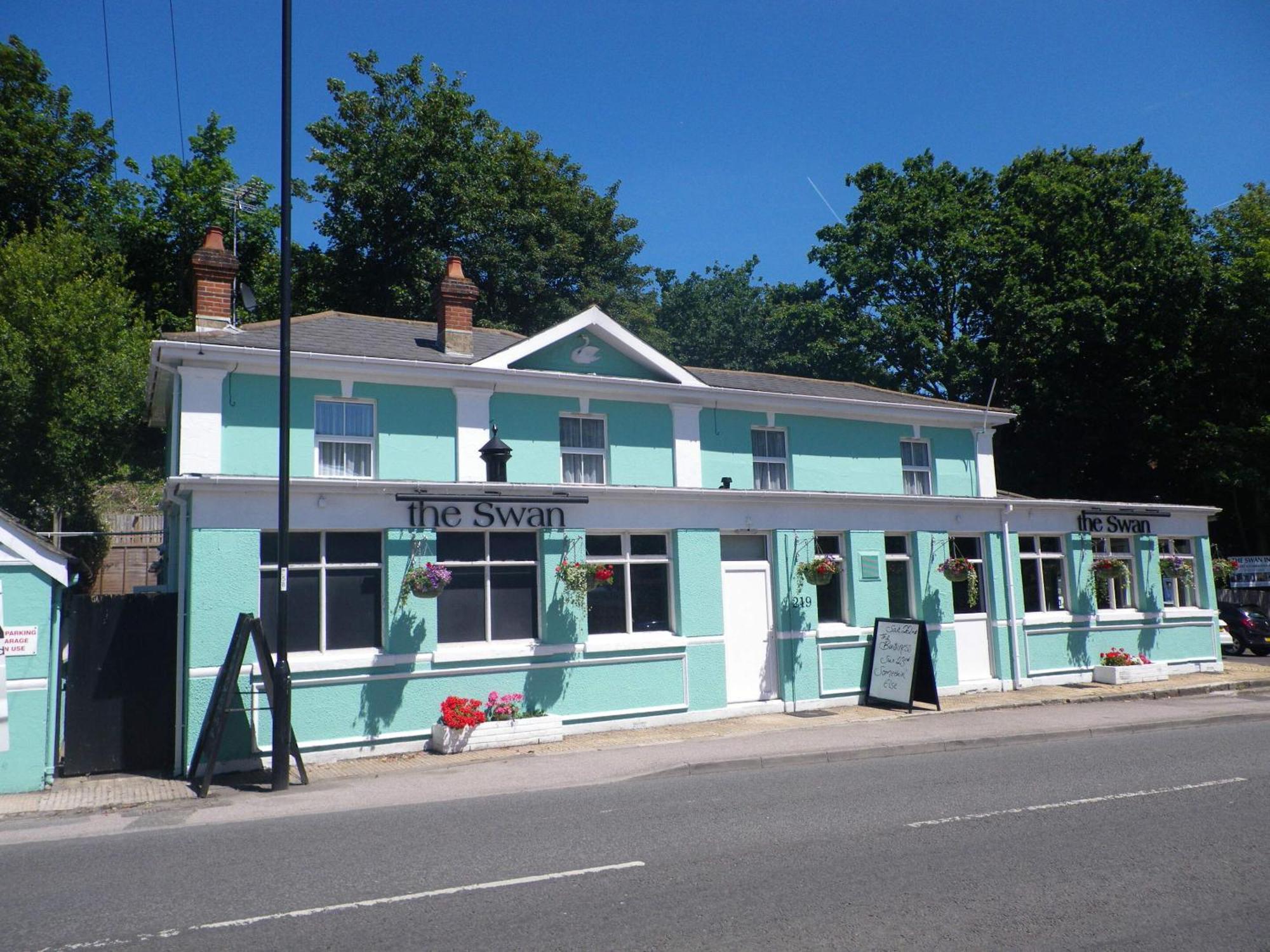 The Swan
