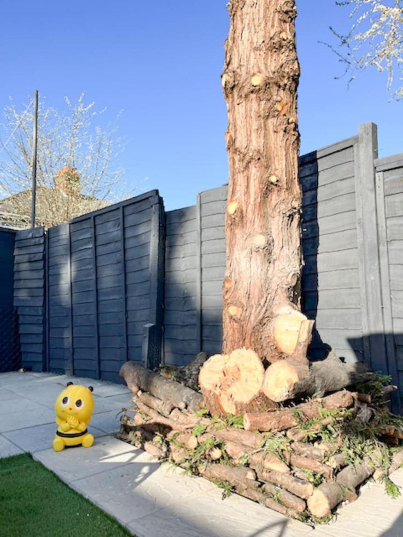 Luxury And Spacious 3 Bedroom In * Southampton