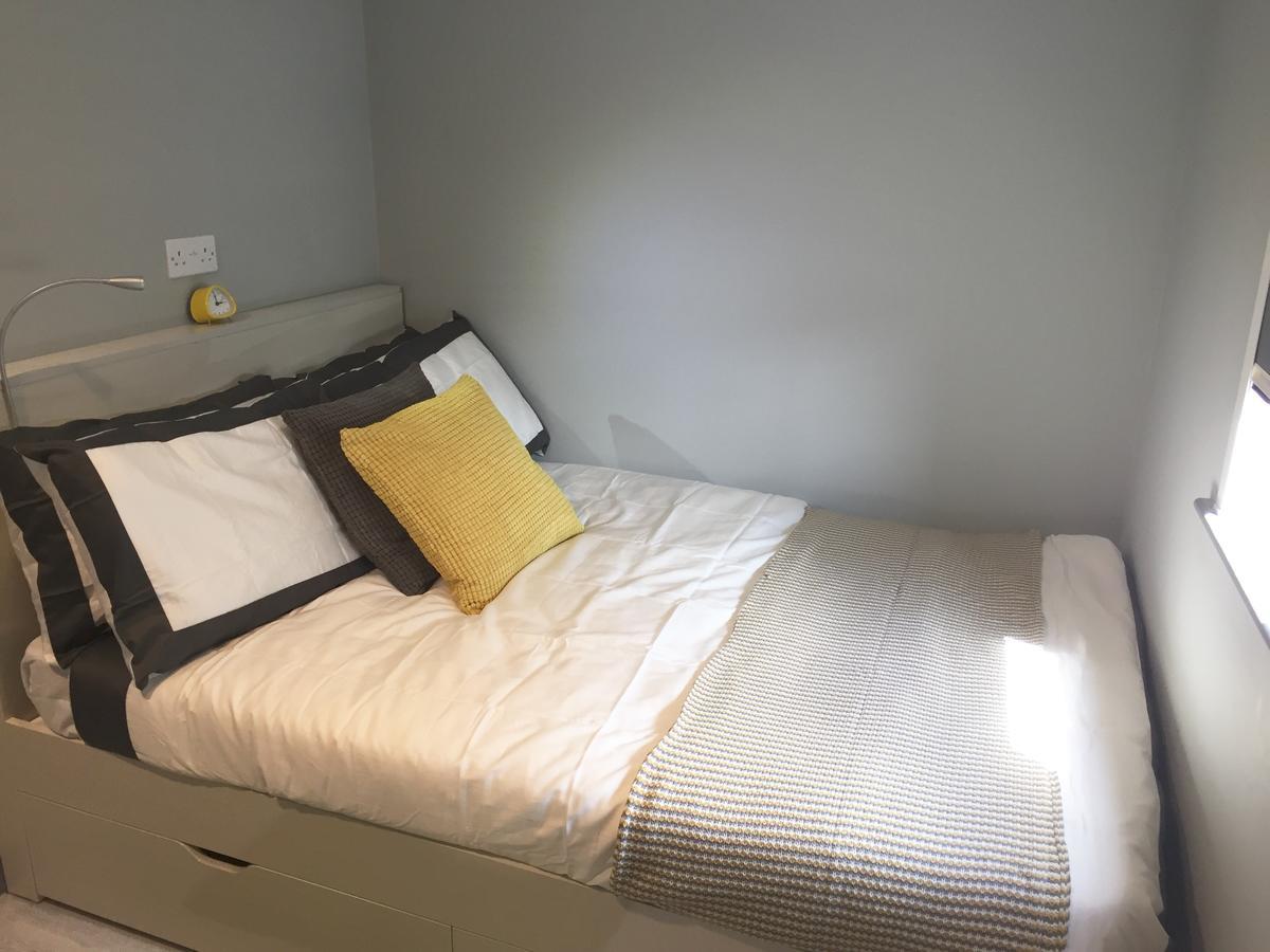 The Walls Modern Studio Apartment