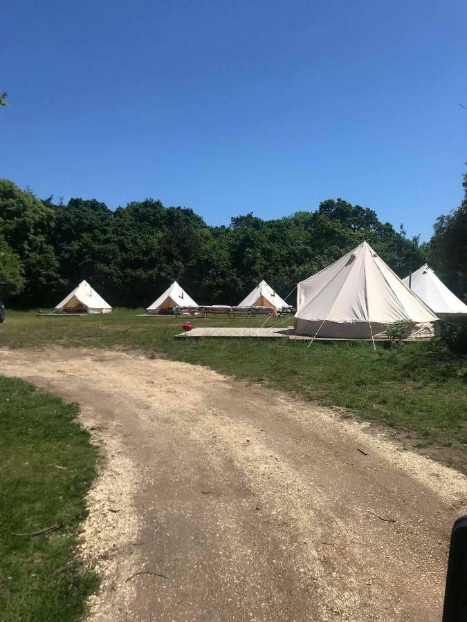 Bell Tent Glamping At Royal Victoria Country Park Luxury tent