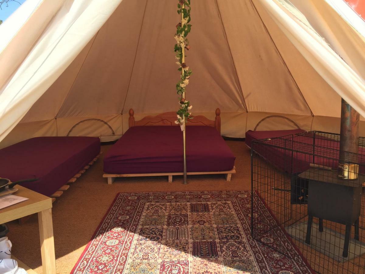 Bell Tent Glamping At Royal Victoria Country Park