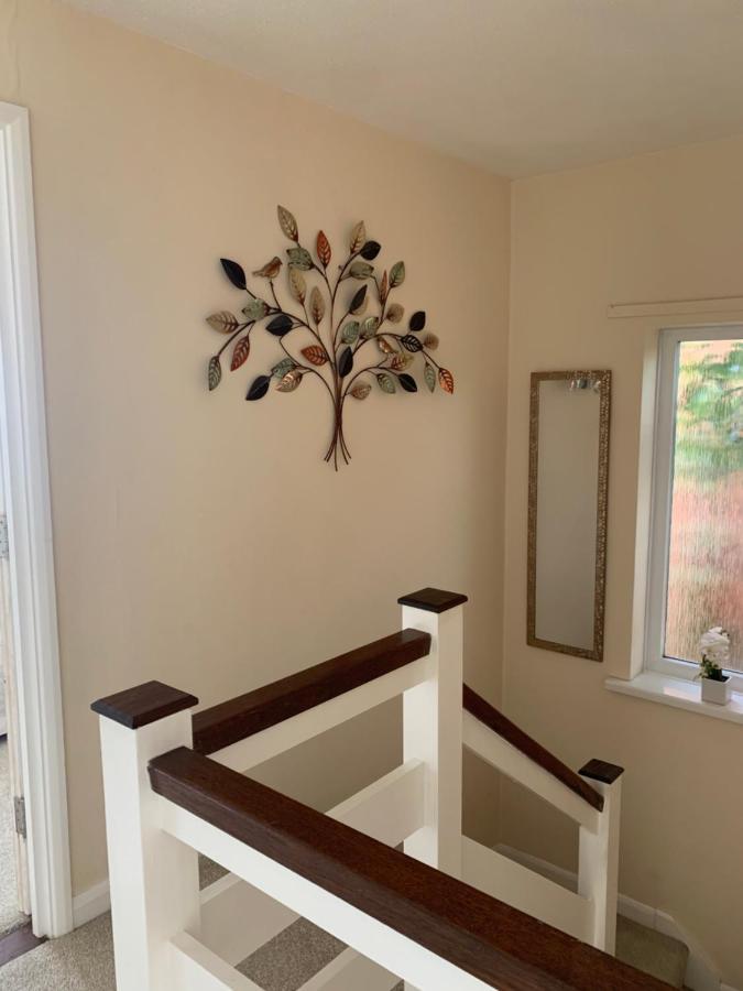 Executive 4 Bedroom Bassett House