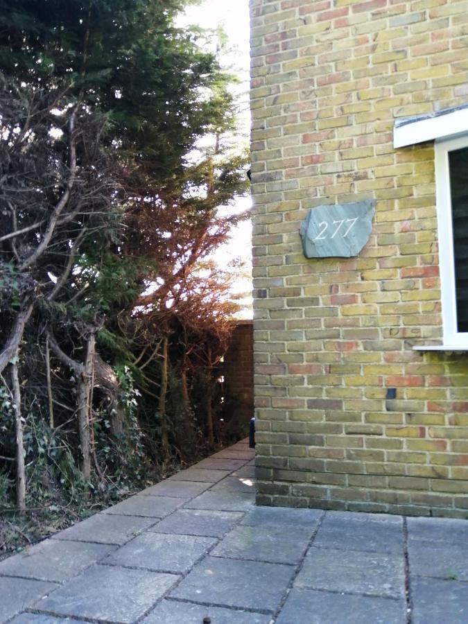 Quest Fulfiller - Near General Hospital, Free Parking & Garden *