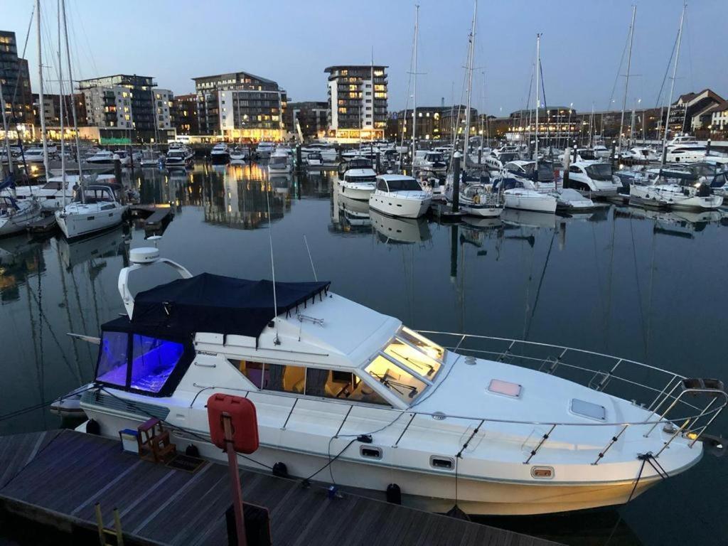 Luxury Yacht Haven: Ocean Village Marina