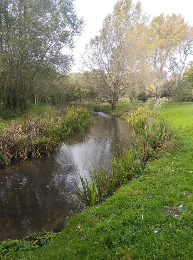 Fisherman's On The Banks Of The River Meon Campsite