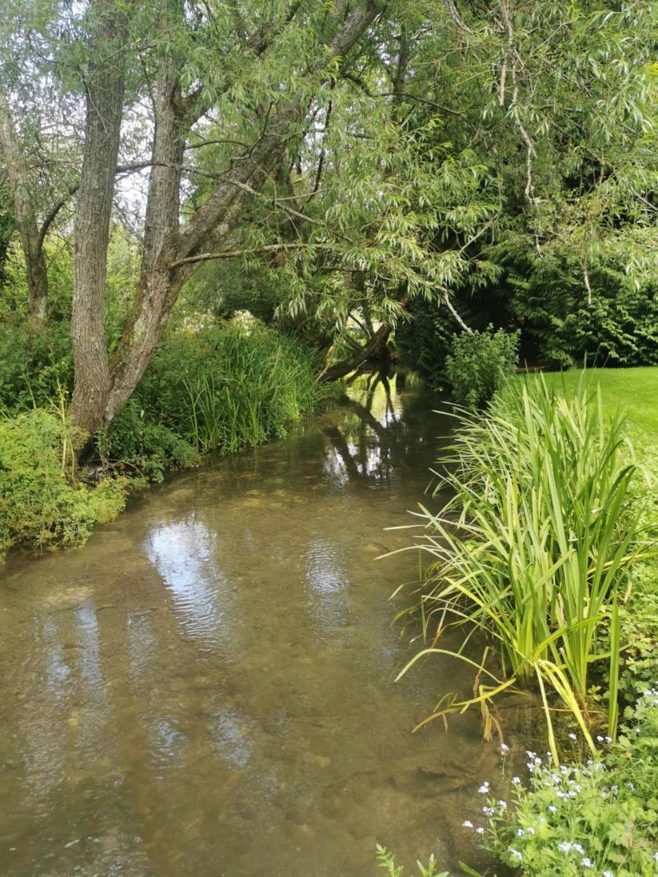 Fisherman's On The Banks Of The River Meon Campsite *