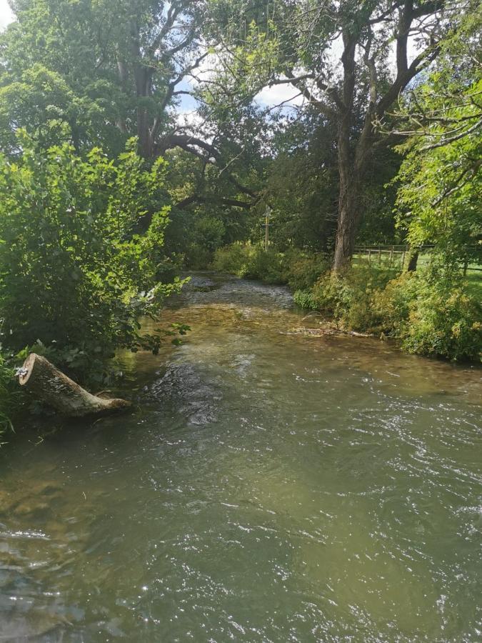 Fisherman's On The Banks Of The River Meon Southampton