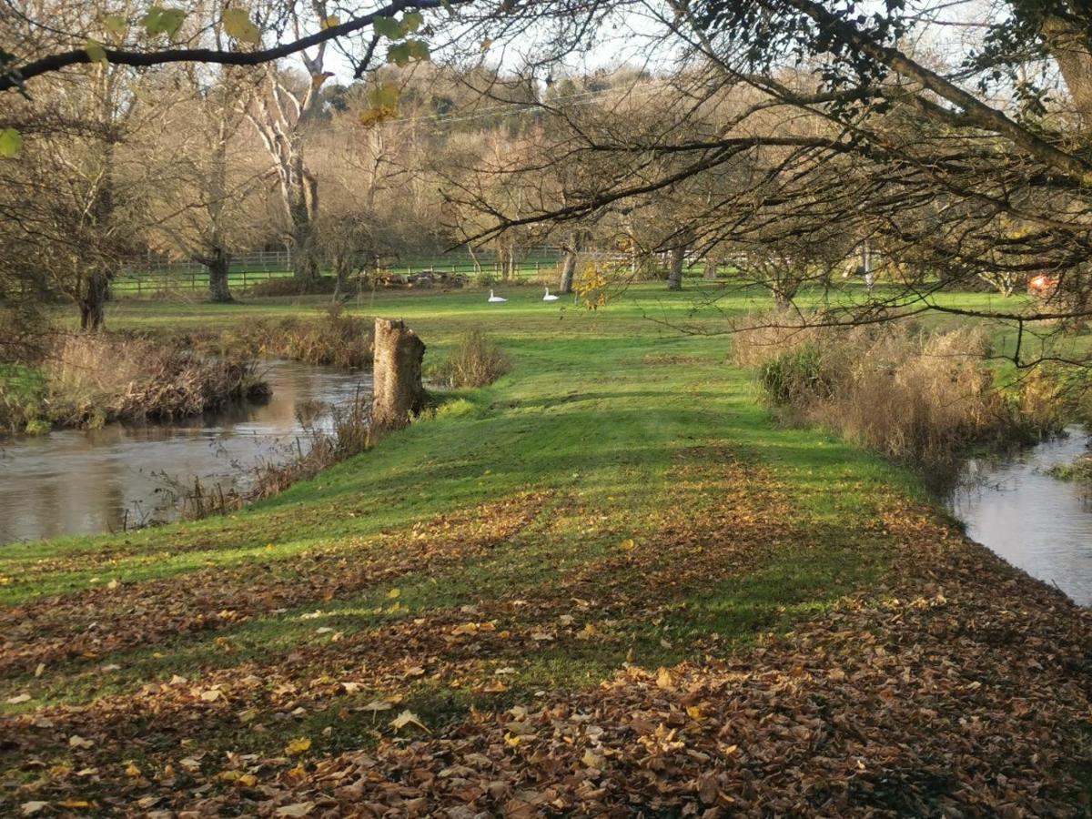 Fisherman's On The Banks Of The River Meon