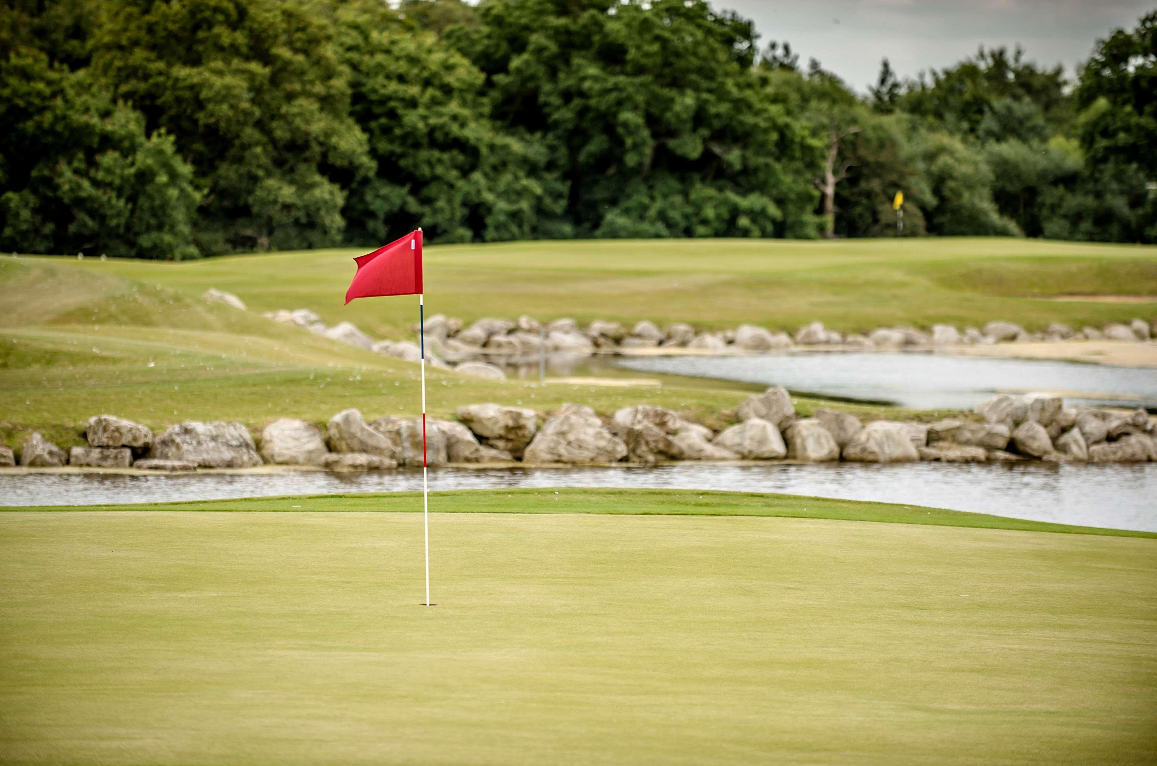 Resort Hilton Southampton - Utilita Bowl 4*