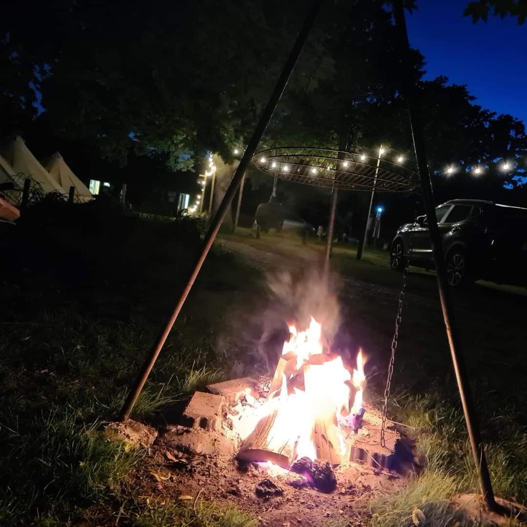 Bell Tent Glamping At Royal Victoria Country Park Luxury tent 2*