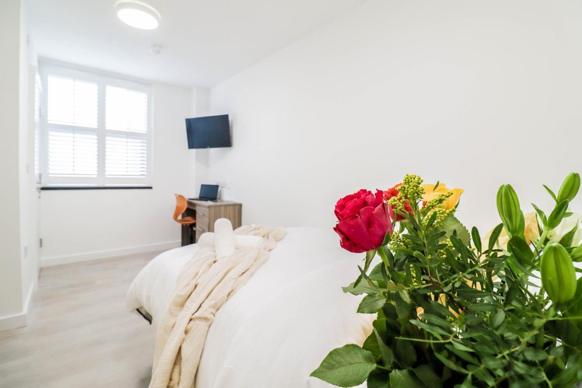 Brand New Apartment Southampton