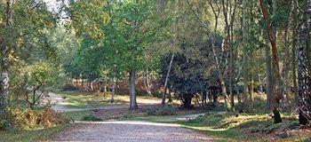 Hotel Heatherdene 4*