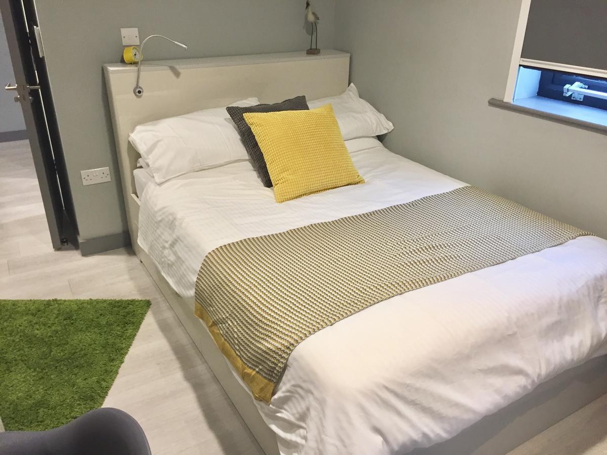 The Walls Modern Studio Apartment