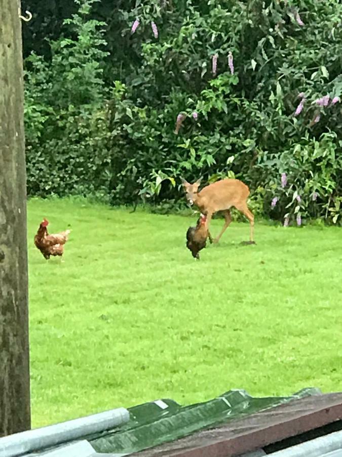 Farm stay Hay House Southampton