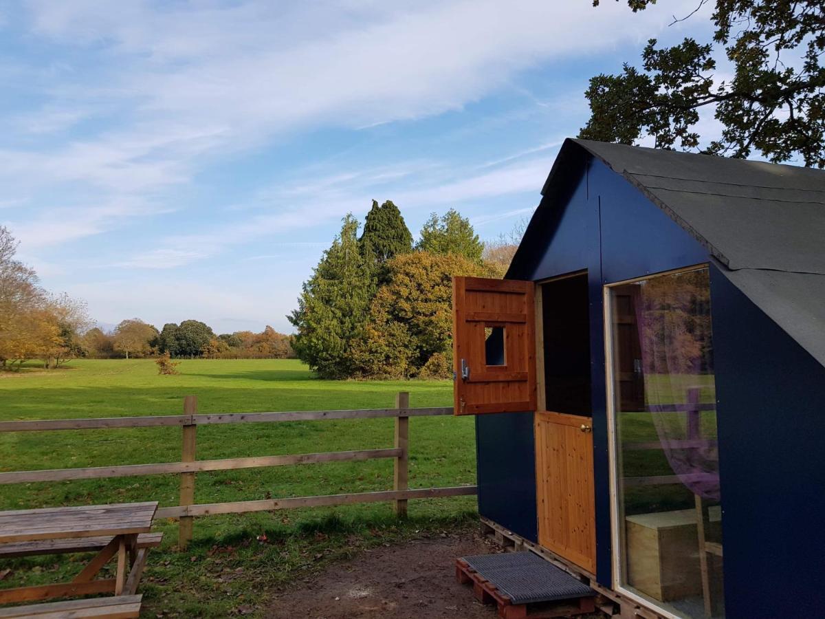 Bell Tent Glamping At Royal Victoria Country Park Luxury tent 2*