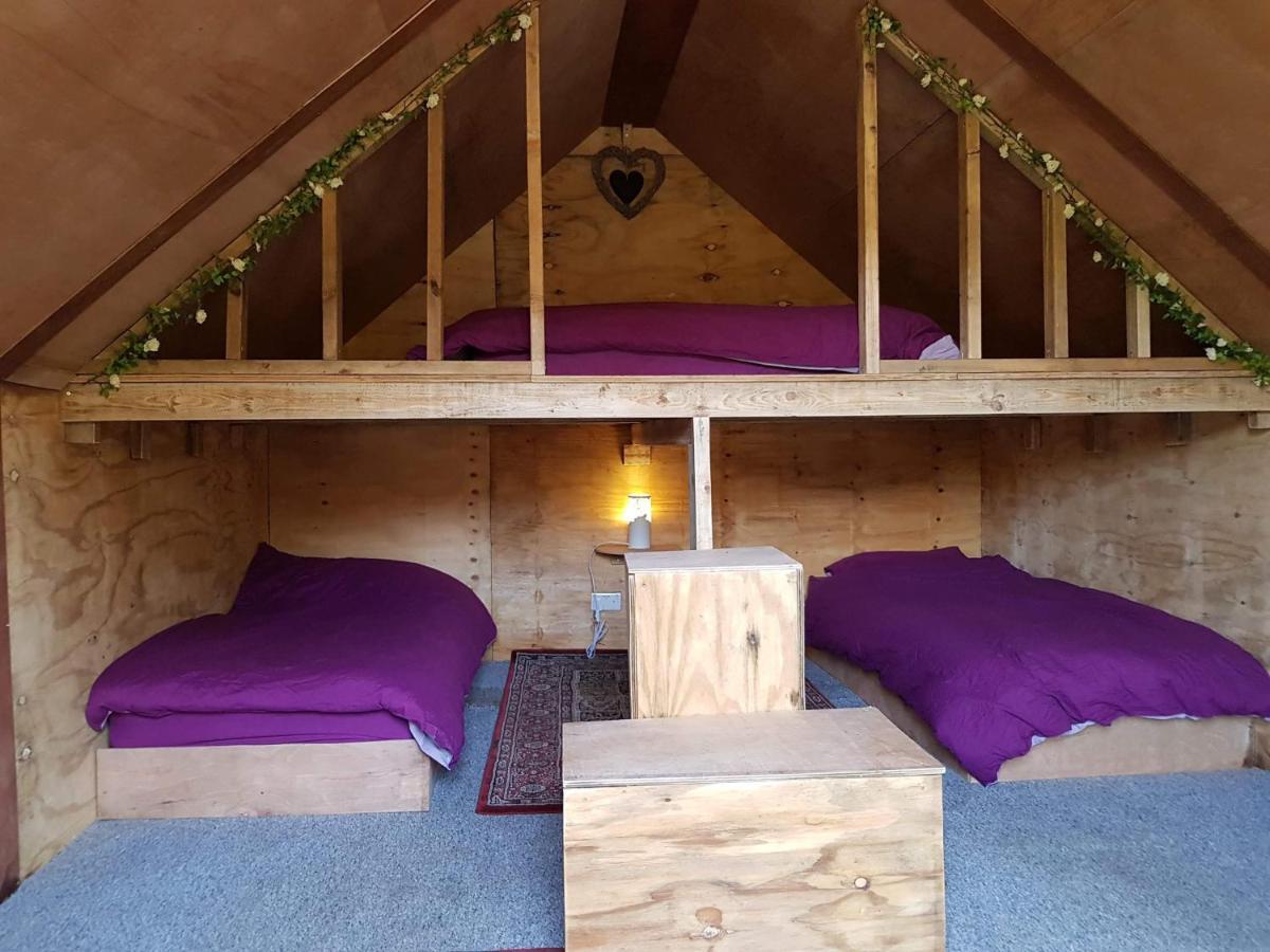 Bell Tent Glamping At Royal Victoria Country Park Luxury tent 2*